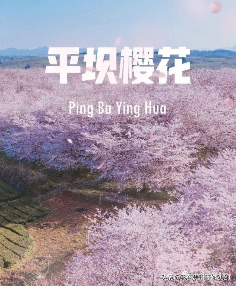 【小县城的年轻人还好找对象吗?】全面解答,一站式问答平台